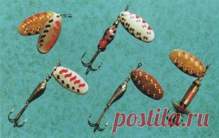 «Тоня-48»: от семги до щуки