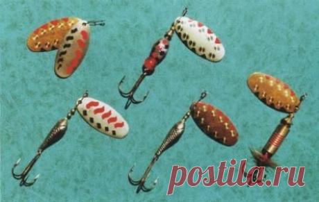 «Тоня-48»: от семги до щуки