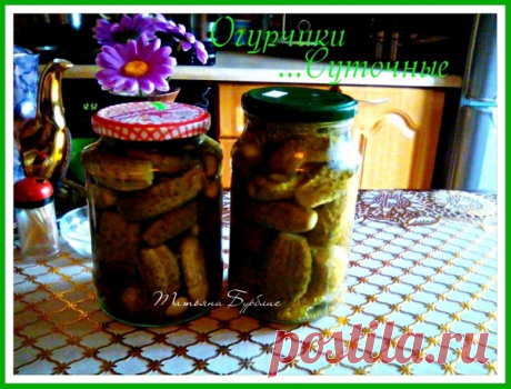 Огурцы "СУТОЧНЫЕ"самый лучший рецепт. – УЮТНАЯ КУХНЯ, пользователь Татьяна Бурблис | Группы Мой Мир