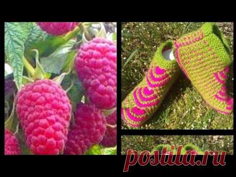 МК/"ЯГОДА-МАЛИНА"/ТАПОЧКИ-СЛЕДОЧКИ НА ДВУХ СПИЦАХ БЕЗ ШВОВ
