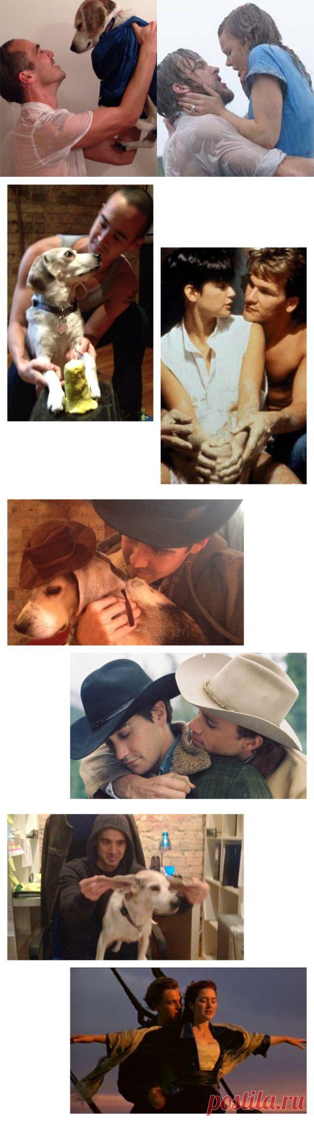 Парень воссоздает сцены из известных фильмов со своей собакой : НОВОСТИ В ФОТОГРАФИЯХ