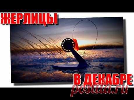 Ловля щуки на жерлицы в декабре