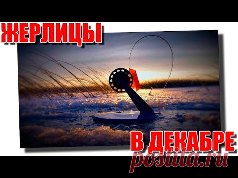 Ловля щуки на жерлицы в декабре