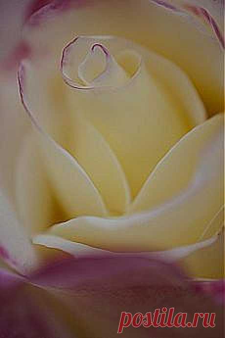 இڿڰۣ-*