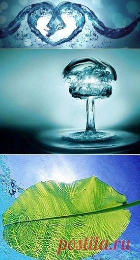 Как оживить себя водой | Квинтэссенция Здоровья