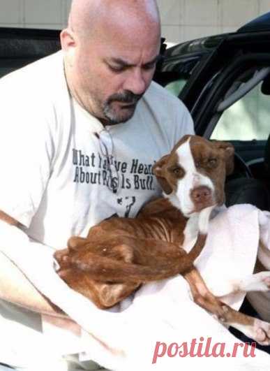 Неукротимая воля к жизни!