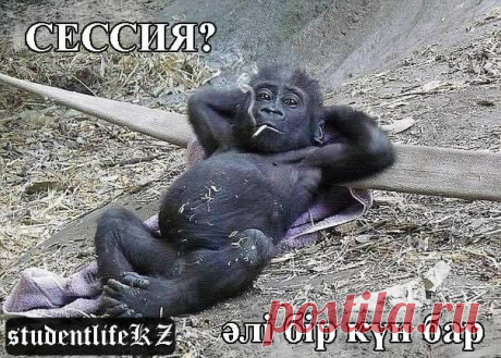 Тұрсынбек Қабатов | Әзіл Әлемі ✔