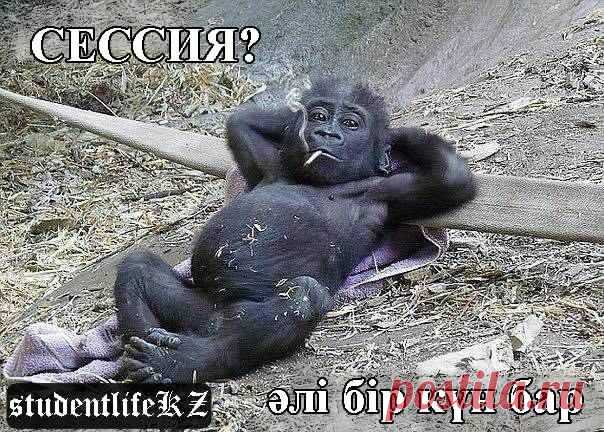 Тұрсынбек Қабатов | Әзіл Әлемі ✔
