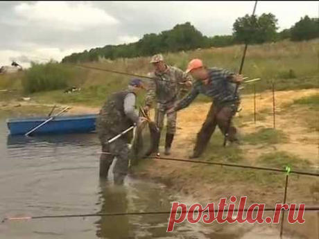 Рыбак Рыбаку 412 &quot;Как поймать толстолобика&quot;.