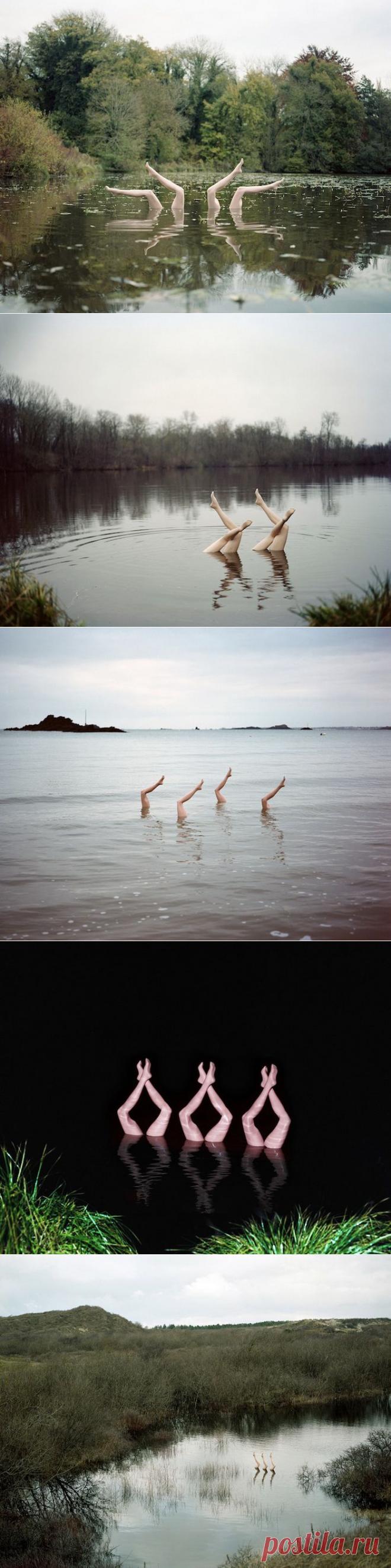 Синхронное плавание в реках и озерах: оригинальный фотоцикл | Фотография | Фотография