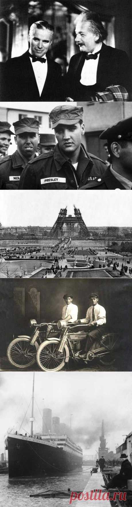 Фотогаллерея: Пост действительно редких фотографий.