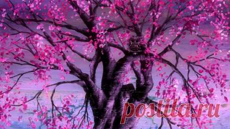 1366x768 Tree Of Wisdom desktop PC and Mac wallpaper