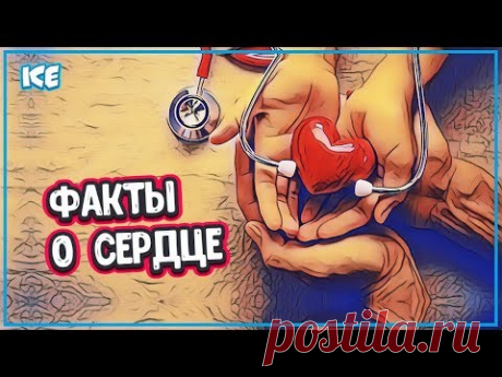 ИНТЕРЕСНЫЕ ФАКТЫ О СЕРДЦЕ ЧЕЛОВЕКА - Какое Сердце у Человека (работа сердце) - YouTube