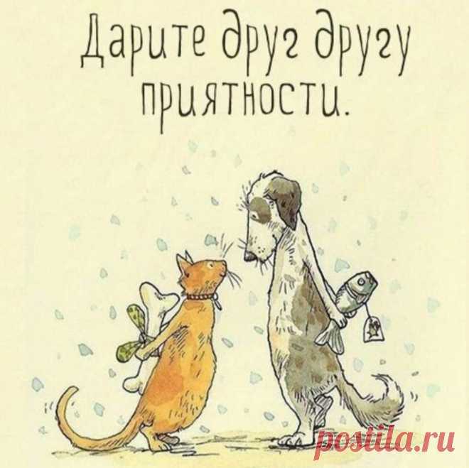 🌿Наталия🌿 (@SobstvennoyP) / Twitter