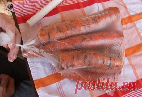 Как сохранить морковь до следующего лета