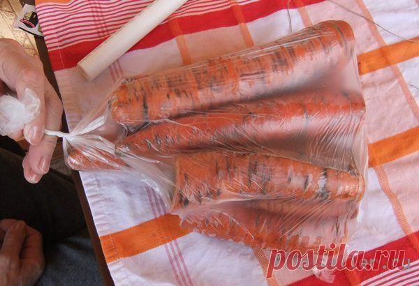 Как сохранить морковь до следующего лета