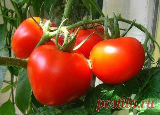 Одноклассники