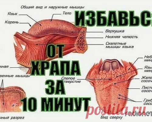КАК ЗА 10 МИНУТ ИЗБАВИТЬСЯ ОТ ХРАПА НАДОЛГО