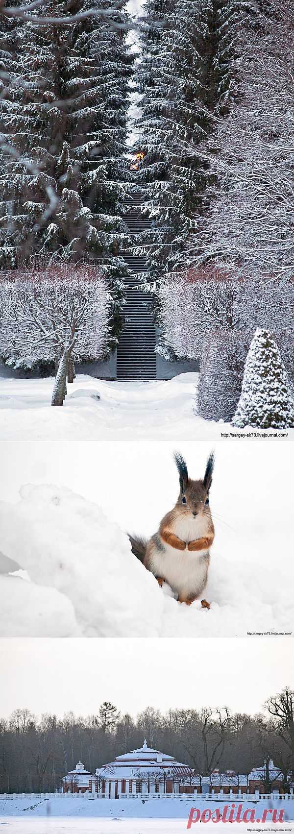 >> Зимний Петергоф | ФОТО НОВОСТИ