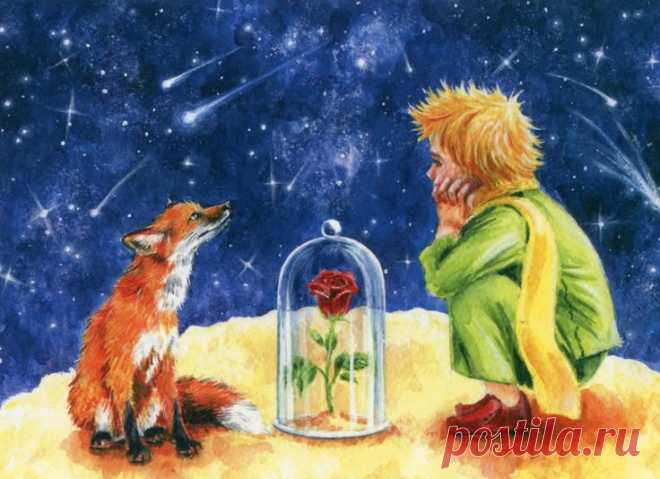 The little prience