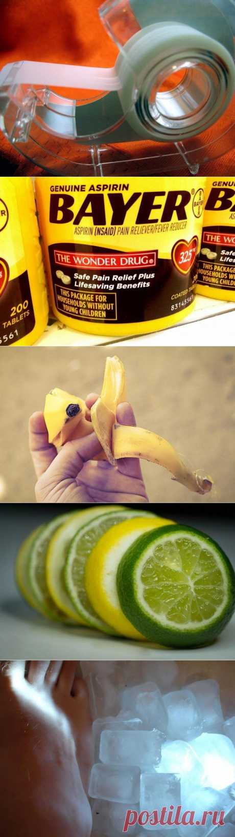 17 действенных советов против укусов комаров / Будьте здоровы