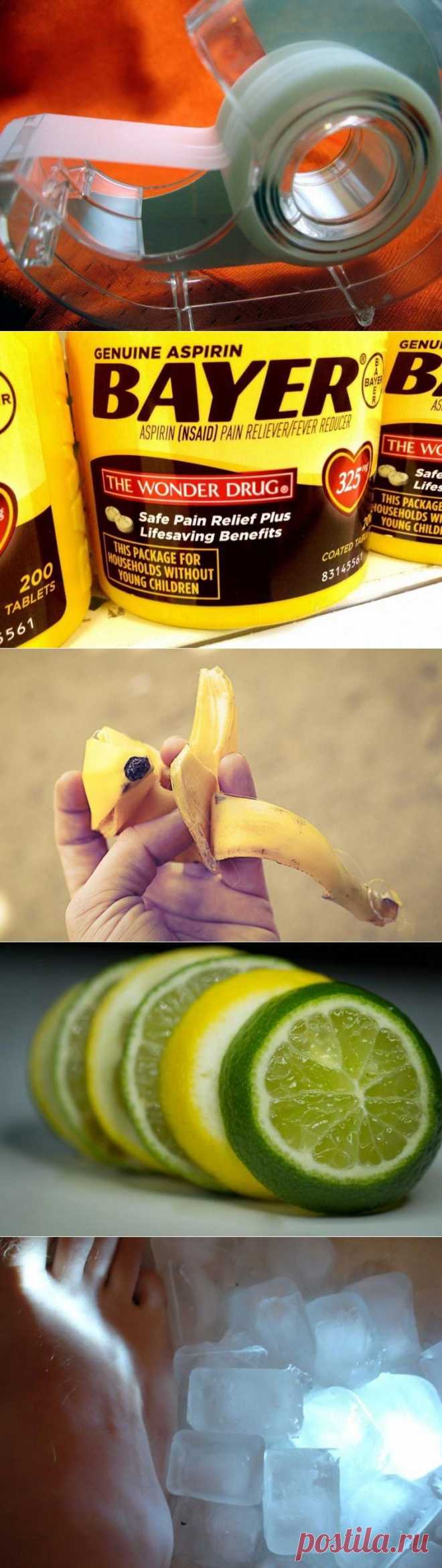 17 действенных советов против укусов комаров / Будьте здоровы