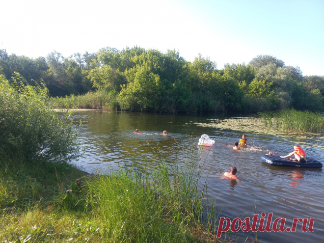 Река Бузулук в Волгоградской области -одна из самых чистых рек Европейской части России.  В Бузулуке водится такая рыба как: карп, белый амур, толстолобик, щука, линь, окунь, плотва, карась...
 В реке Бузулук водятся такие виды рыб как карп и белый амур.
 Проехать к реке можно на машине, автобусе или на электричке до станции 