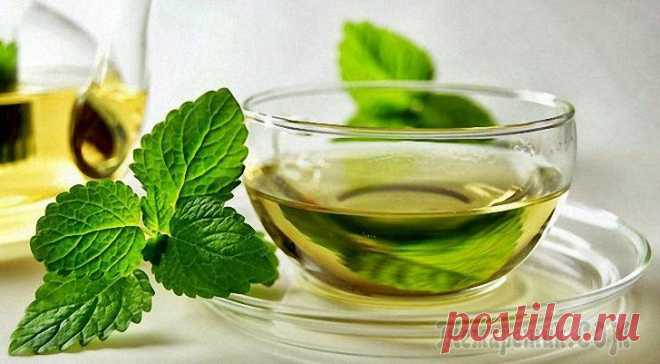 Польза и вред зеленого чая