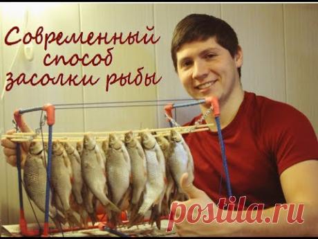 Сушилка для рыбы Абушка-1. Современный способ засолки рыбы