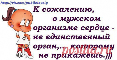 Интересные новости