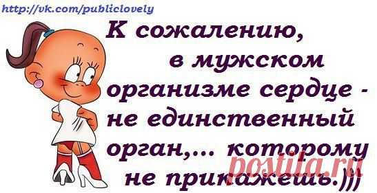 Интересные новости