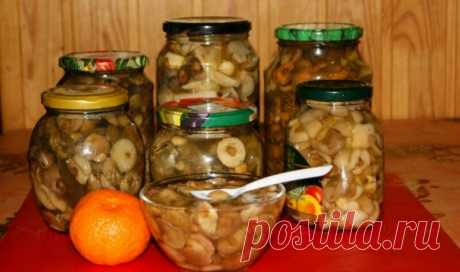 Маринованные маслята на зиму: простые и самые вкусные рецепты Доброго дня! Ух, ты вот это да! Сколько сегодня я видела грибов на базаре, и каких там только нет. И