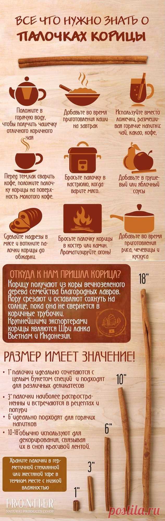 Все что нужно знать о палочках корицы