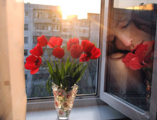 грязный город и солнце зажигает цветы