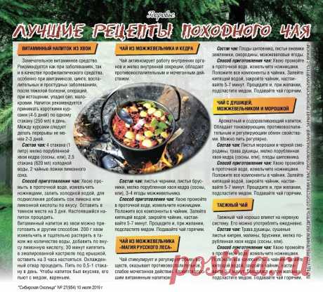 Лучшие рецепты походного чая