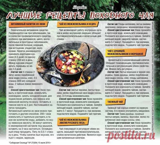 Лучшие рецепты походного чая