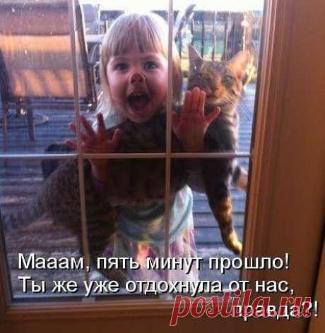 Озорные и не очень истории!!....