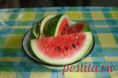 Выращиваю арбузы на своем огороде. Делюсь с Вами фото
Всем удачи!
Смотрите также
Томаты https://kladowochka.ru/tomaty/
Цветут в саду цветочки https://kladowochka.ru/cvetut-v-sadu-cvetochki/
Весна пришла, первоцветы зацвели https://kladowochka.ru/vesna-prishla-pervocvety-zacveli/