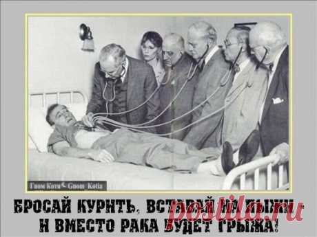 Подборка прикольных фотографий - 6 | Фотомонтаж