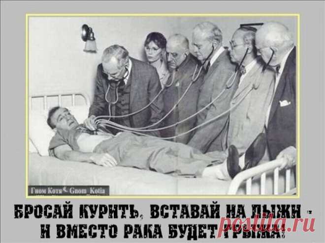 Подборка прикольных фотографий - 6 | Фотомонтаж