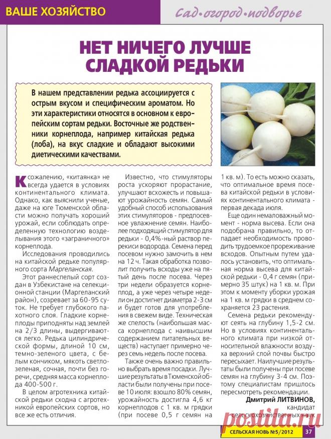 Нет ничего лучше сладкой редьки