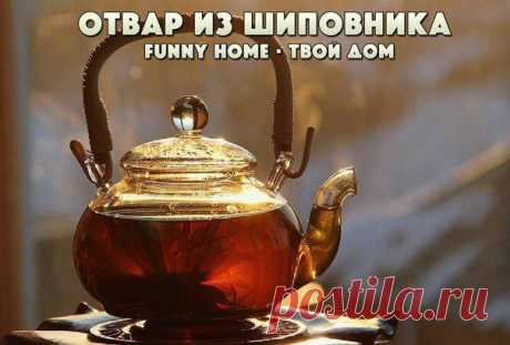 Funny Home • Твой дом
УНИКАЛЬНЫЙ ОТВАР ИЗ ШИПОВНИКА ДЛЯ УКРЕПЛЕНИЯ И ИСЦЕЛЕНИЯ ОРГАНИЗМА

Необходимо 5-7 столовых ложек сушеных плодов шиповника хорошо промыть и измельчить. Добавить их в двухлитровую кастрюлю кипящей воды, накрыть крышкой. Отвар следует варить около пятнадцати минут, после чего дать остыть и настояться в течение трех часов.