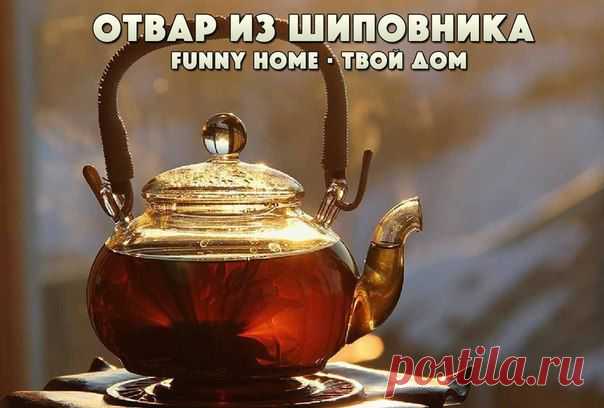 Funny Home • Твой дом
УНИКАЛЬНЫЙ ОТВАР ИЗ ШИПОВНИКА ДЛЯ УКРЕПЛЕНИЯ И ИСЦЕЛЕНИЯ ОРГАНИЗМА

Необходимо 5-7 столовых ложек сушеных плодов шиповника хорошо промыть и измельчить. Добавить их в двухлитровую кастрюлю кипящей воды, накрыть крышкой. Отвар следует варить около пятнадцати минут, после чего дать остыть и настояться в течение трех часов.