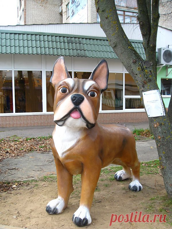 Sculpture Of A Dog In Smolensk  Free Stock Photo HD - Public Domain Pictures