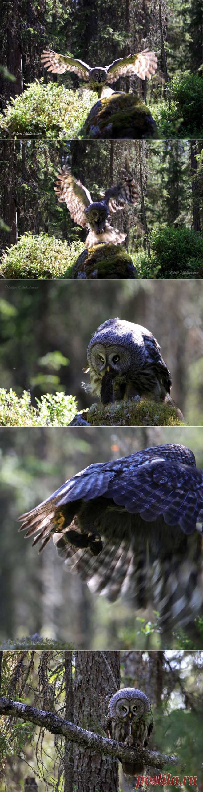 35PHOTO - Valtteri Mulkahainen - Обед на открытом воздухе ...