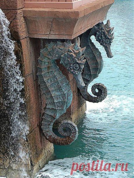 Desert Zen Ray приколол(а) это к доске Seahorse Magic