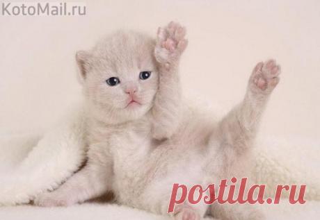 Делюсь позитивом! Это не сложно и приятно:)