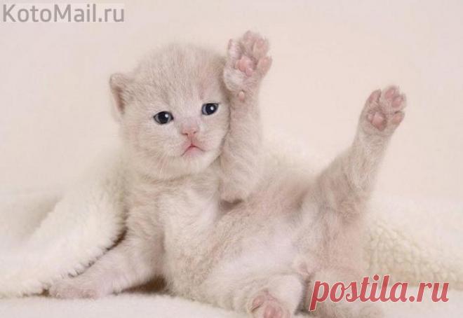 Делюсь позитивом! Это не сложно и приятно:)