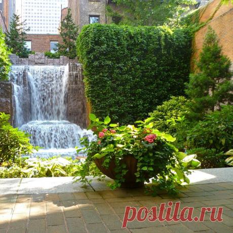 Неожиданно: вертикальный сад.