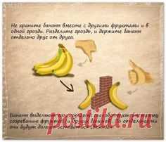 Полезные советы (14 шт)